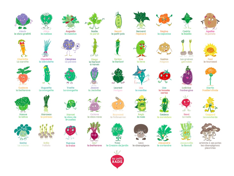 poster-images-legumes-illustrations-enfants-potager-semis